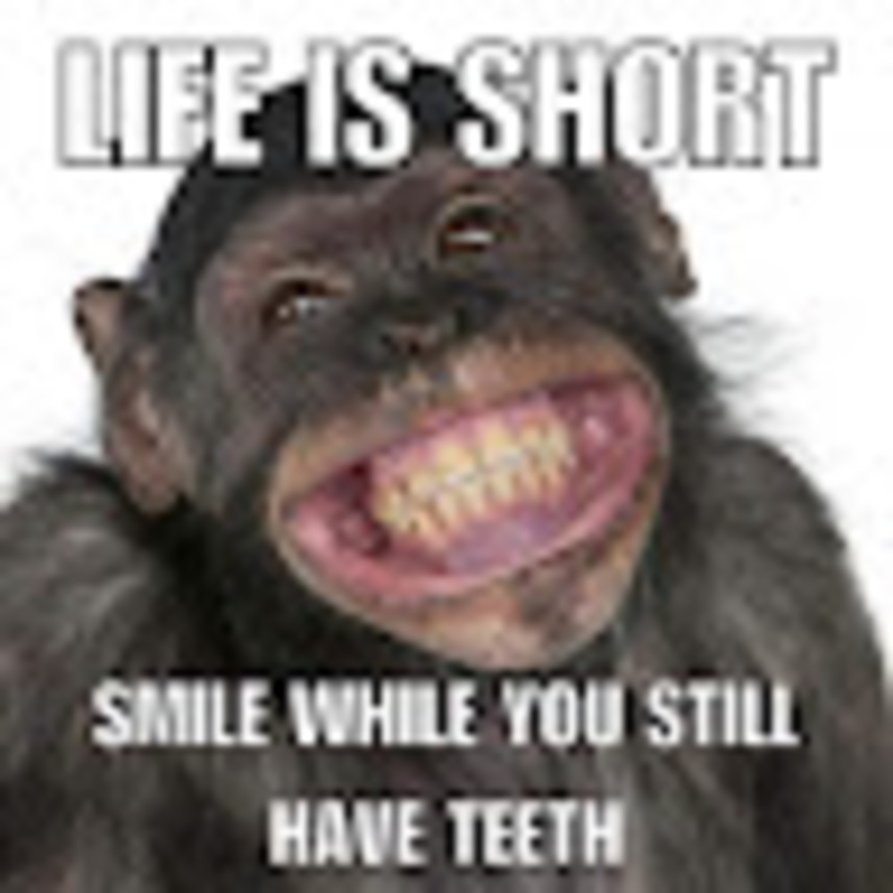 Meet your Posher, D.w.